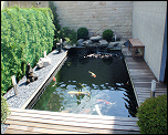 Zier-, Garten- und Schwimmbecken